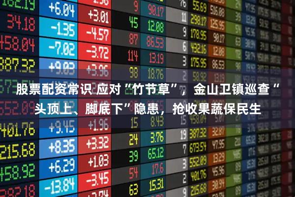 股票配资常识 应对“竹节草”，金山卫镇巡查“头顶上、脚底下”隐患，抢收果蔬保民生